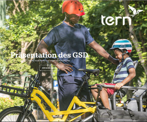 tern bike