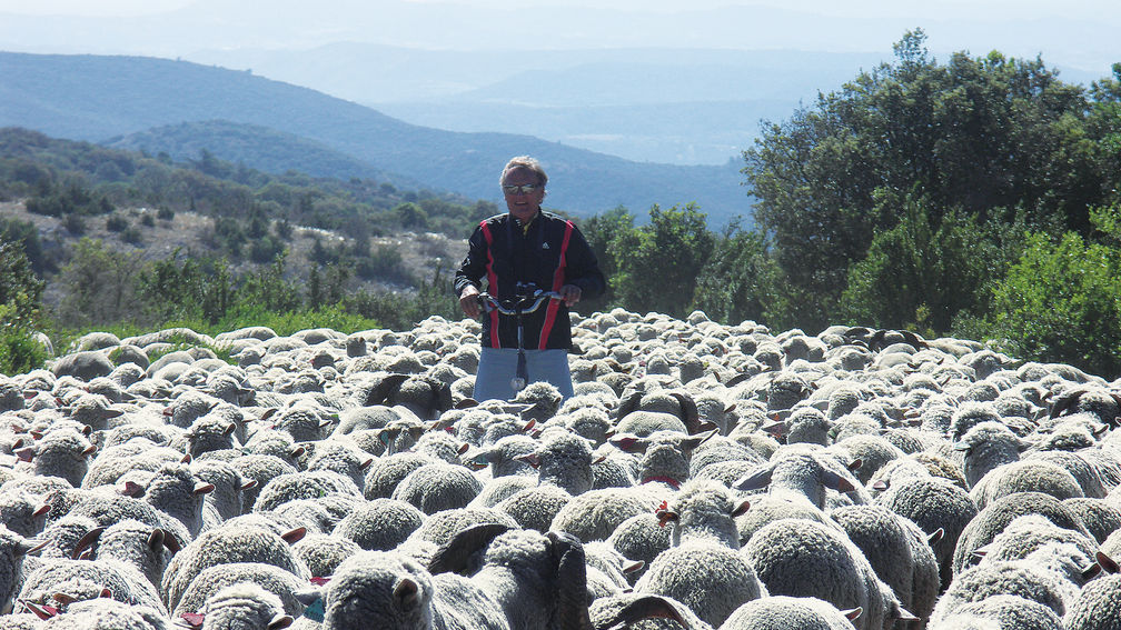 Im Süden Sardiniens: Abseits des Massentourismus