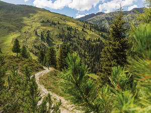 Grün, wohin das Auge Sieht: Unberührte Natur am Gerlosberg